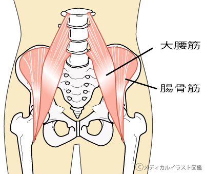 正しい姿勢で歩きましょう 淀屋橋院 Icure鍼灸接骨院 グループ公式サイト